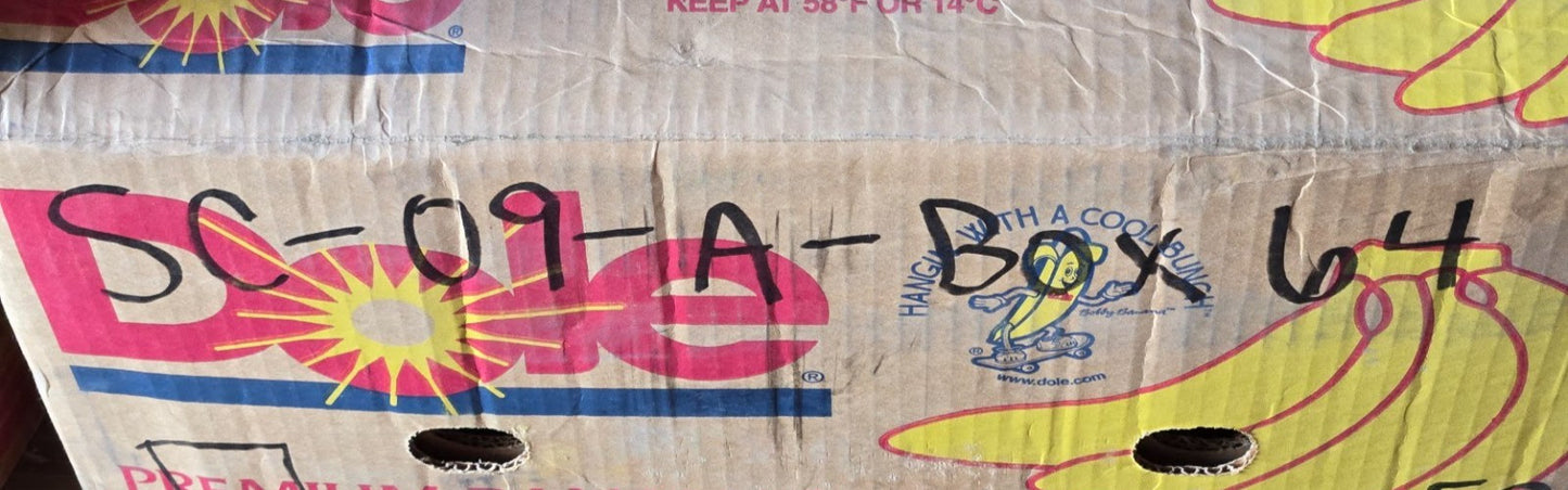 2 Quantity of ORS 6207 C3 Metal Shielded Ball Bearings | 72 mm OD (2 Quantity)