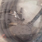 Belden Cable Assemblies 10ft  49616A 060S2 | 25 POS SHD D-SUB