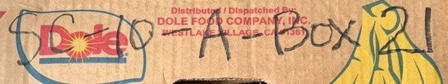 PT International Mounted Pillow Block Bearing RAK203-10A-40 Cast Iron Housing