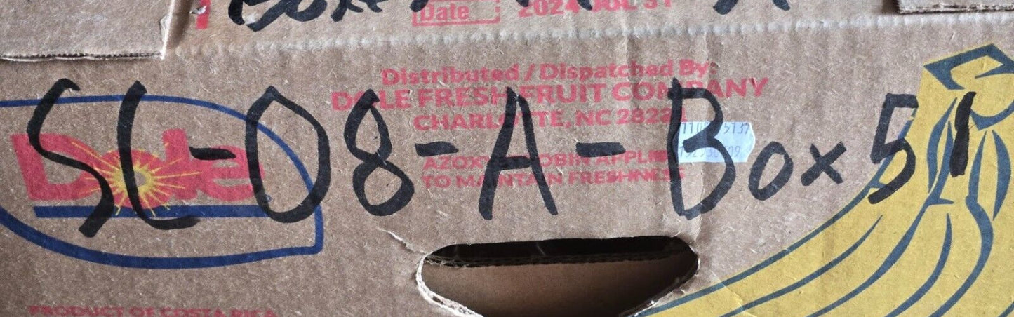 Aeroquip Fuel Hose Assembly FK2947HH0324 | 15031531 | PT3246 | BL237883 | 32"