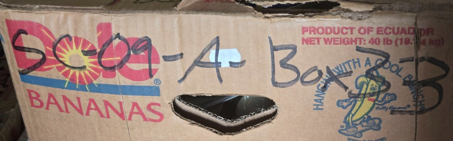 NAPA XL V-Belt 25 7375 | 029769103074 | 13/32" x 38-1/8"