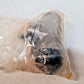 2 Quantity of Pronto Drum Brake Wheel Cylinders W370051 (2 Qty)