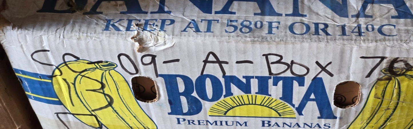 2 Quantity of Metal Shielded Ball Bearings 6013Z | 100 mm OD 65 mm Bore (2 Qty)