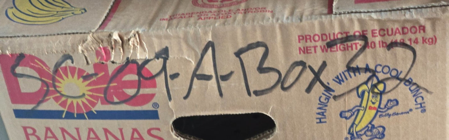 Cummins Pressure Regulator Valve BM 97559 | 22mm Thread 23.7mm Hex | 3.25" Long