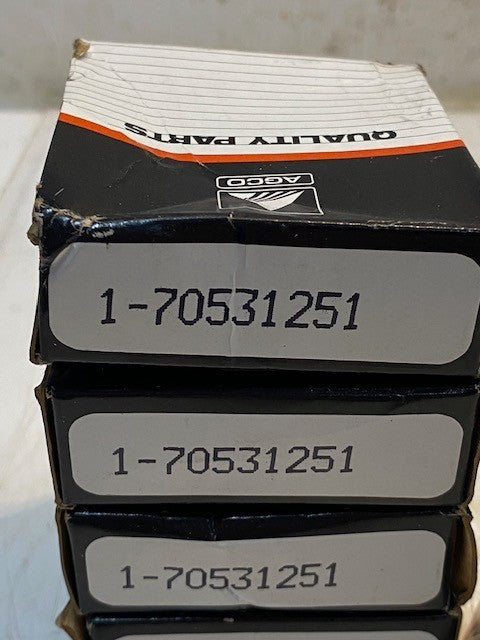 4 Quantity of AGCO Tapered Roller Bearing Cones 70531251 (4 Quantity)
