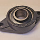 IB 2-Bolt Flange Bearing 1-1/2" | FL208 | NA208-24