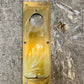 Accurate S2002C, US4NL, 251949 Flush Pull w/ Cylinder (Cutout Only) 7" x 2-1/4"