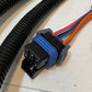 Melroe 6704359 Fargo Assembly Harness 47665-0210 | G0053