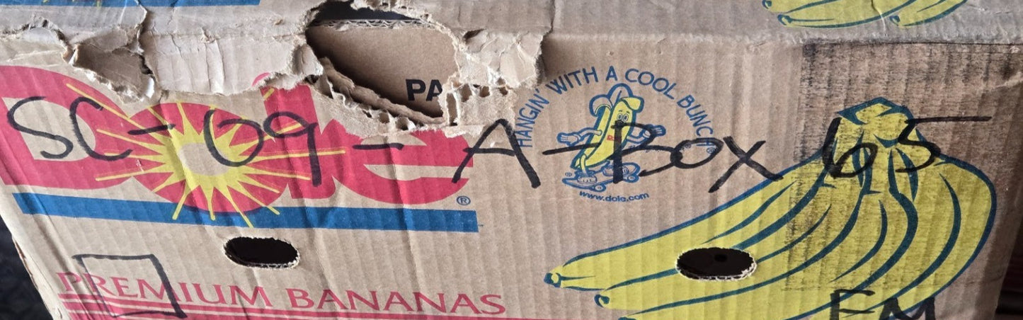 6 Quantity of Tapered Roller Bearing Cones L68149 | 35 mm Bore (6 Quantity)