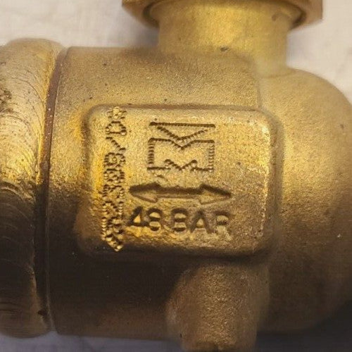 Mueller Straight Through Ball Valve F-36700 | 700 PSIG | 48 BAR
