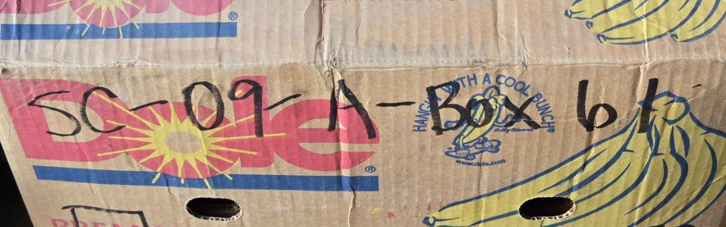 Brake Shoe C-41864 for Caterpillar | 11" x 1-3/4" Shoe Size | 8-1/4" Pad Length