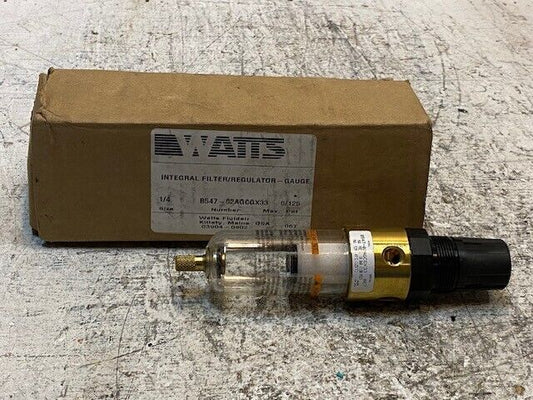 Watts Integral Filter/Regulator B547-02AGCGX33