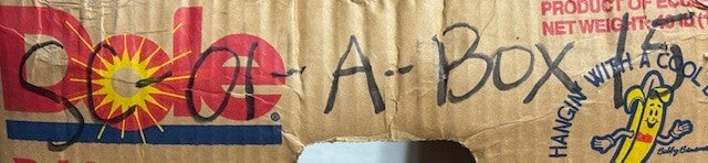 NSK Wheel Bearing 77mm OD 43mm ID 45.5mm Width | FW24 | 43KWD07 | KW1TH20