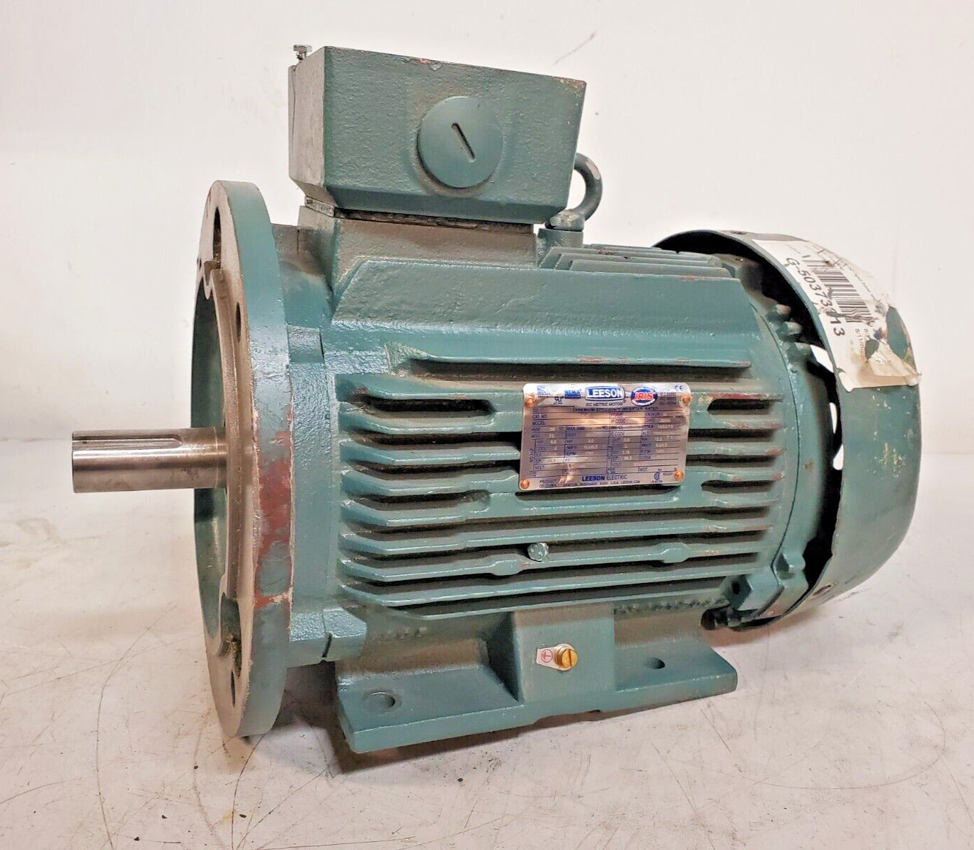 Nema Premium Leeson Electric Motor 193337.60 | C100T17FZ44A | DF100LD | J2019