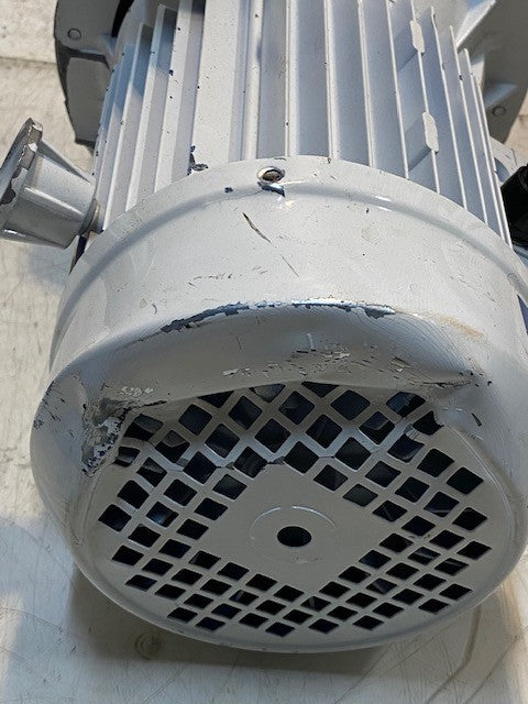 LEM Products 4803 Pump and Motor Assembly