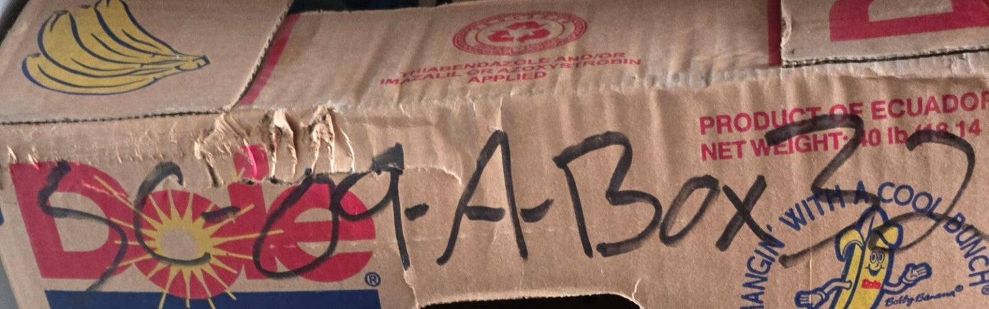 6 Quantity of Ford D4TZ-6148-E Piston Ring Sets | 5 Rings Per Set (6 Quantity)