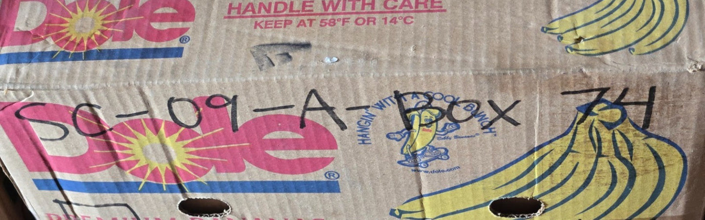 10 Quantity of GBC Snap Ring Bearings R6RS | 7/8 in OD x 3/8 in Bore (10 Qty)