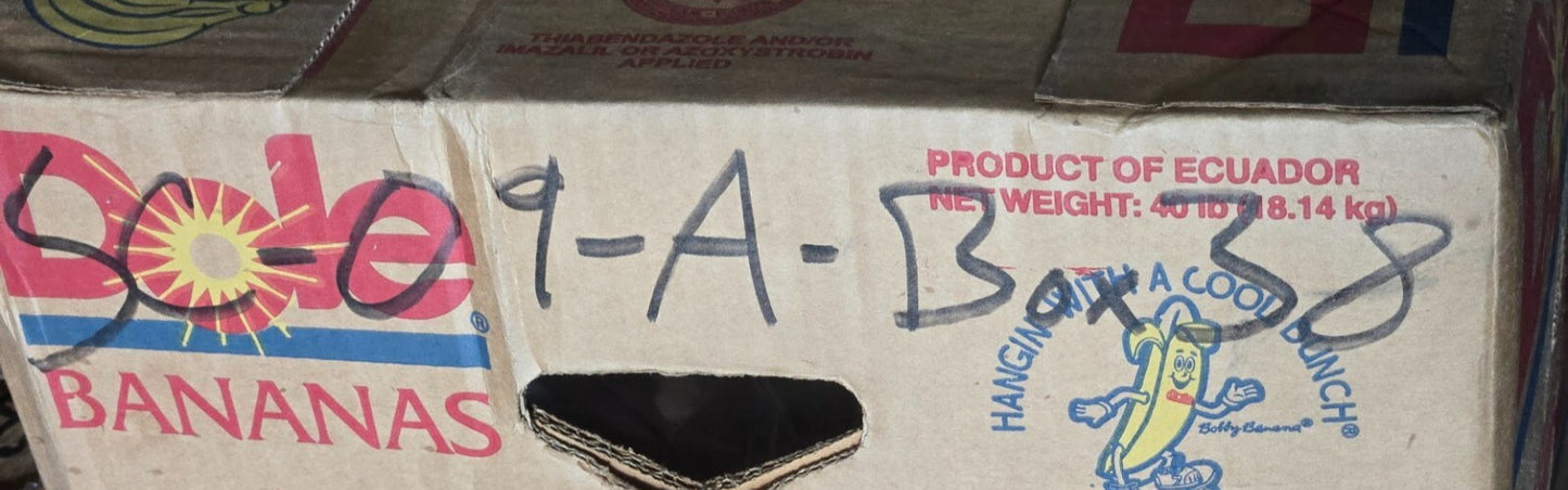 10 Quantity of Bay Corporation 1221-4DV DISS DV Adaptor 1/4" Male NPT (10 Qty)