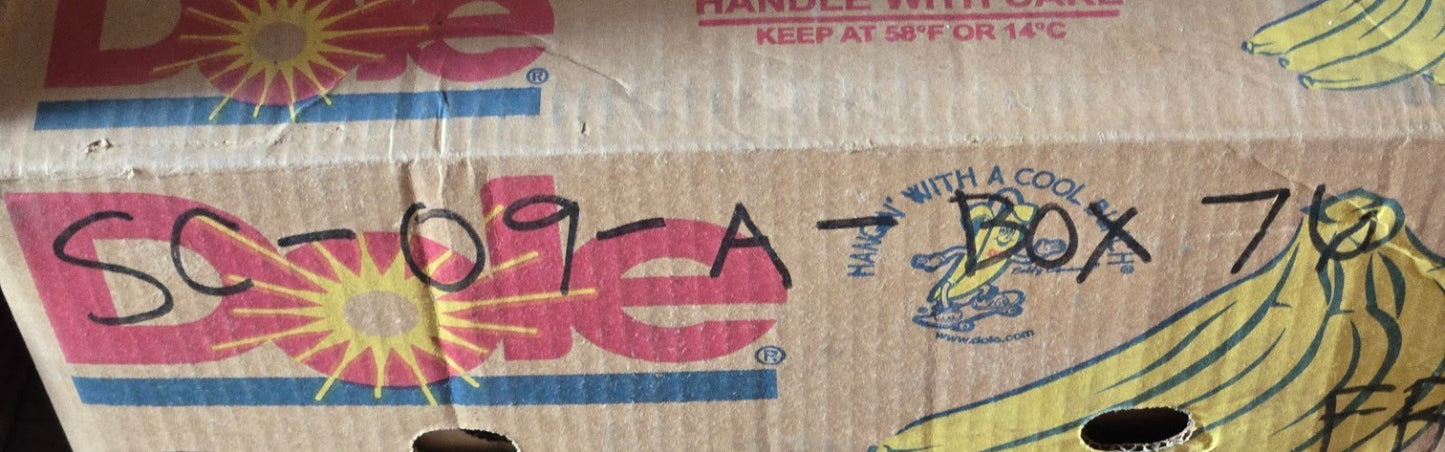 6 Quantity of HLU Bearings 203KRR-2DG | 40 mm OD x 16.25 mm Bore (6 Qty)