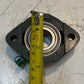 2 Qty of FK 2-Bolt Flanges FW205 w/ Insert Bearings SSB205 | 25mm Bore (2 Qty)
