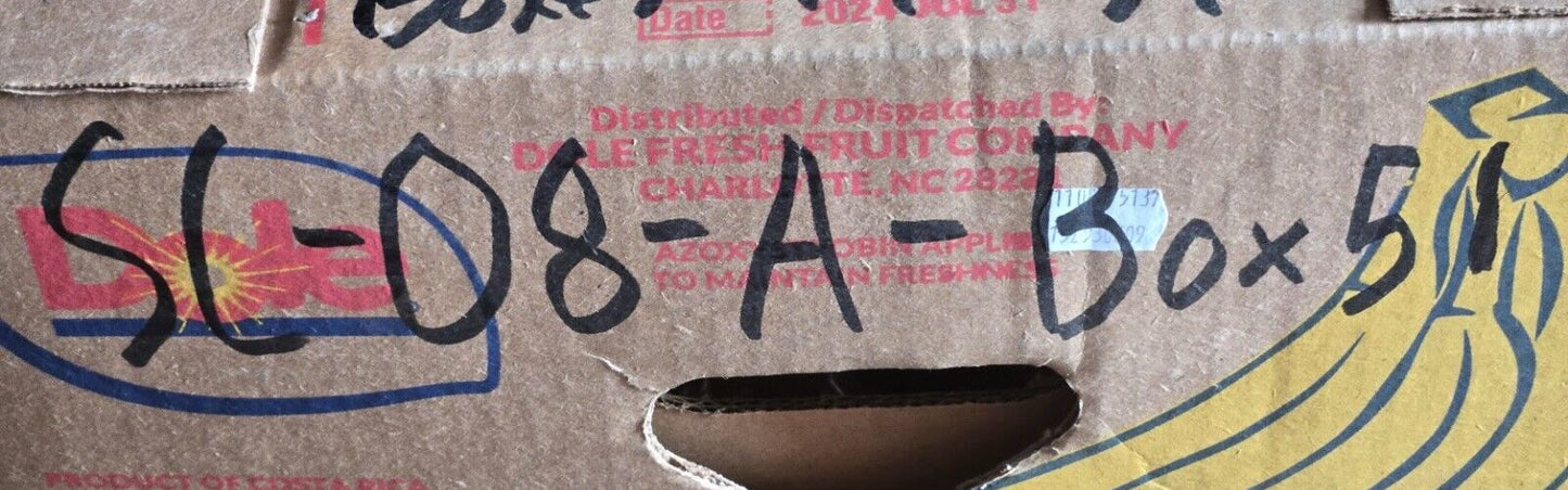 Aeroquip Fuel Hose Assembly FK2947HH0324 | 15031531 | PT3246 | BL237883 | 32"