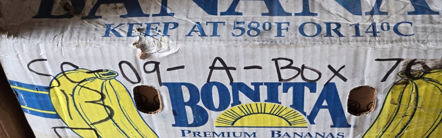 SX Mast Bearing D581815 for Forklift | 109.5 mm OD x 40 mm Bore x 31 mm Thick