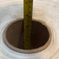 2 Quantity of Rolls 11" x 5-1/2" of Woven Polyester Cord Strapping 3/4" (2 Qty)