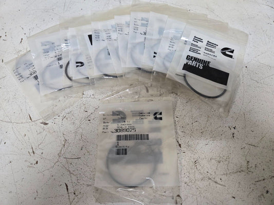 13 Quantity of Cummins O Ring Seal 3089025 (13 Quantity)