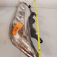 Eagle Eye Lights Headlight Assembly TY982-A001L | G-39194626