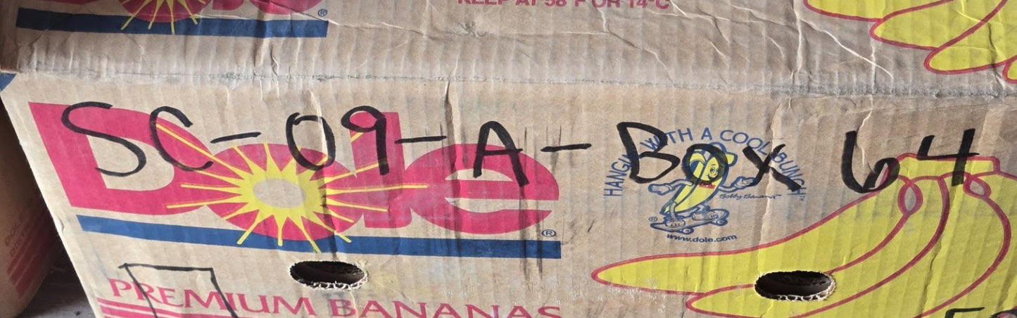 2 Quantity of Shuster Roller Bearings B34 | 101 mm OD 65.2 mm Bore (2 Qty)