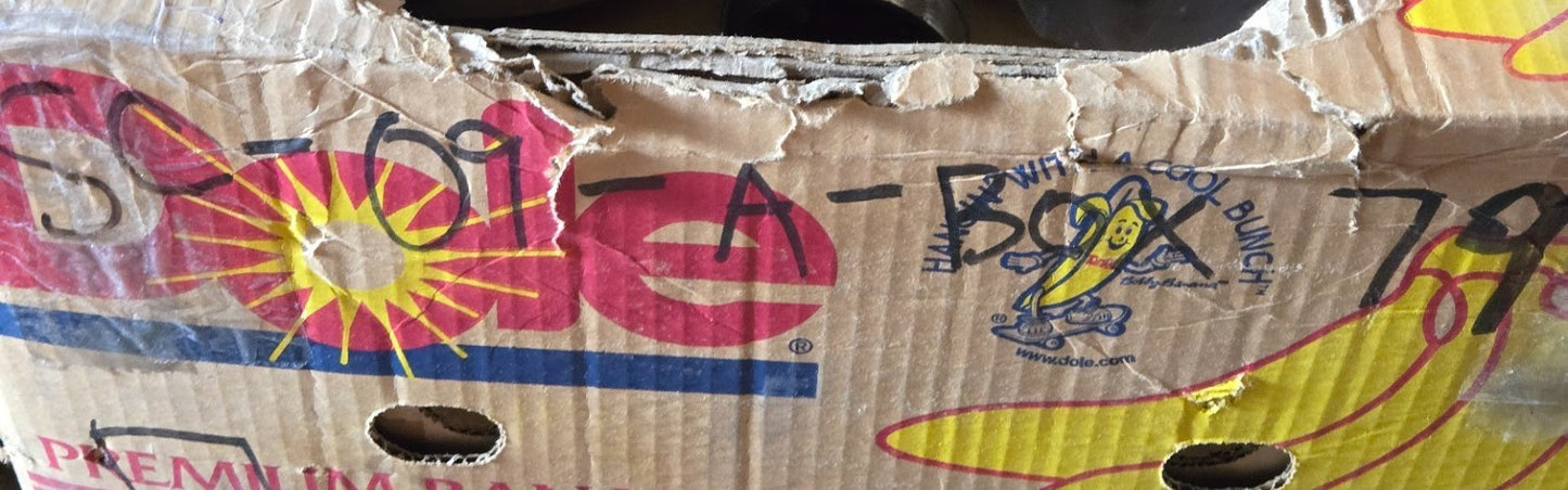 5 Quantity of Metal Shielded Ball Bearings 6305ZZ | 62 mm OD 25 mm Bore (5 Qty)