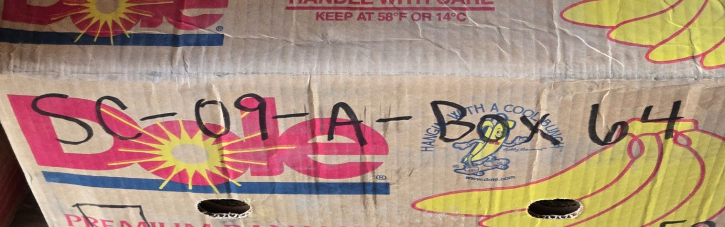 GMB Idler Pulley Bearing E6006RTN | 60.08 mm OD x 10.29 mm Bore x 35.97 mm Thick