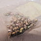 25 Quantity of Winzer Straight Short BLT-12 | 987.14.10 | REGT2C1 (25 Qty)