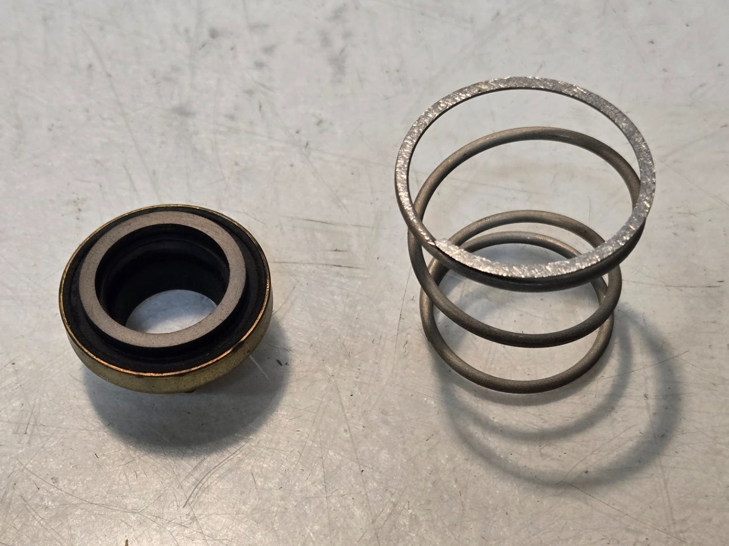 2 Quantity of Detroit Diesel 5186571 Spring and Seal Assemblies | 5.1130 (2 Qty)