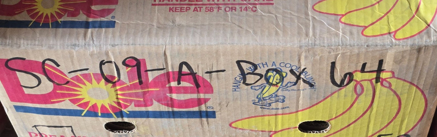 2 Quantity of NSK Metal Shielded Bearings 6206Z | 62 mm OD x 30 mm Bore (2 Qty)