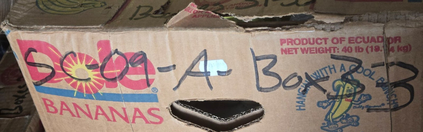 2 Quantity of Ford B7Q-2004-B Master Cylinder Repair Kits | TTB 20 (2 Quantity)