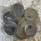6 Quantity of Caterpillar CAT Caps 0909051 | 2-1/2" Wide (6 Quantity)
