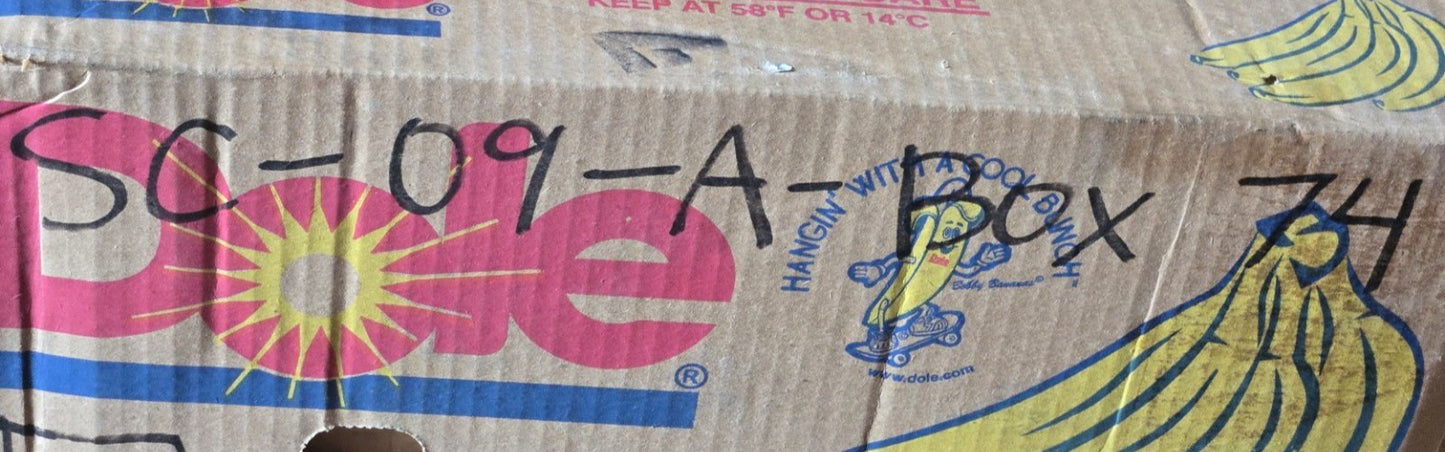 SST Snap Ring Ball Bearing 60082RSNRC3 | 68 mm OD x 40 mm Bore x 15 mm Wide