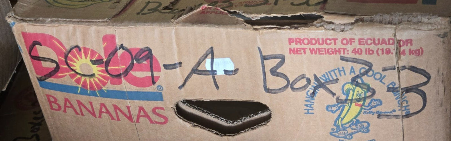 Hedman Hedders Replacement 3 in Reducers for 78030 78036 78038 Header Kits