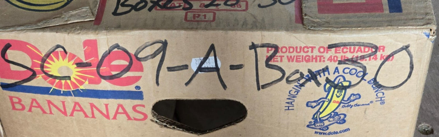 7 Quantity of Pump Liners 2910-01-145-4087 | DLA 70086VAE78 (7 Quantity)