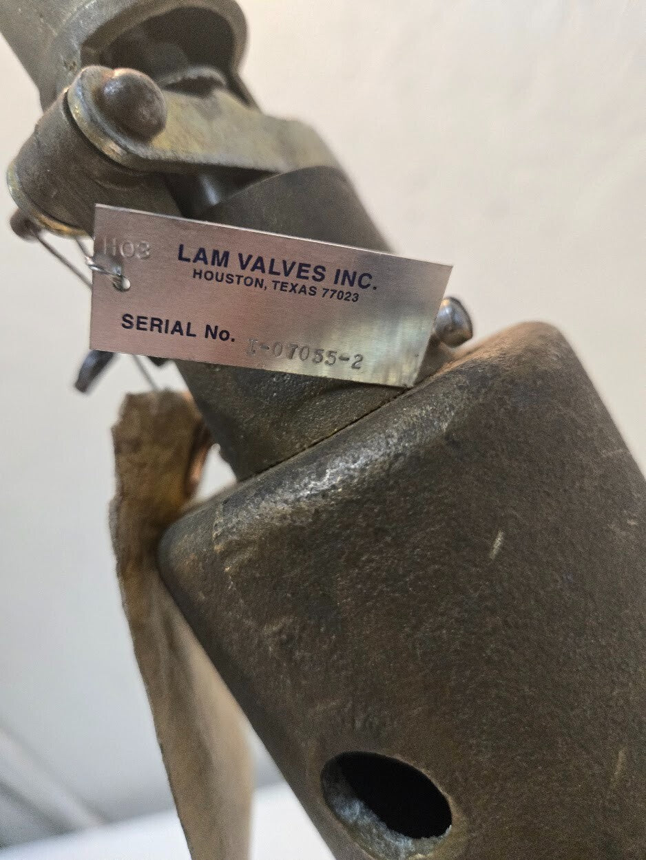 Kunkle Valve 6010JJ01-AM | 2 1/2" 4260 LB/HR