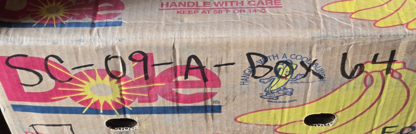 10 Quantity of Tapered Roller Bearing Cones L44643 | 1" Bore 15mm Thick (10 Qty)