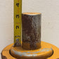 ITR Case Top Carrier Roller Assembly 10" Length 6" Diameter | 241263A1