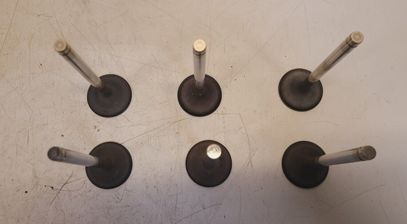 6 Quantity of LS6 Intake Valves 1.5" x 5" (6 Qty)
