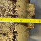 Heavy Duty Hydraulic Gear Pump High Pressure Industrial Replacement Steel Body