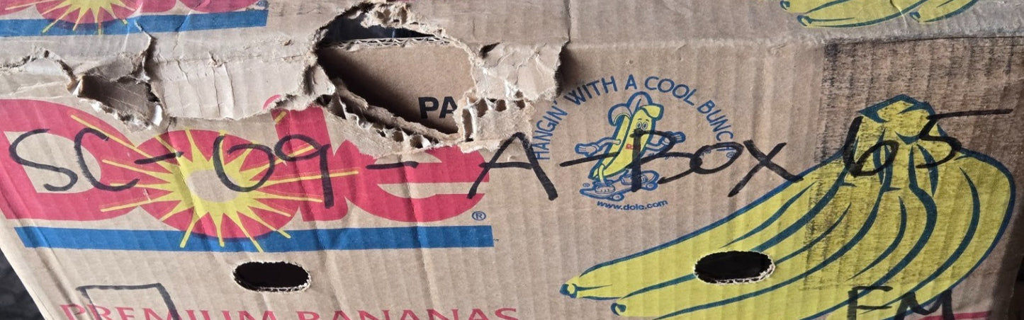 3 Quantity of Tapered Roller Bearing Cones LM12749 | 21.98 mm Bore (3 Qty)