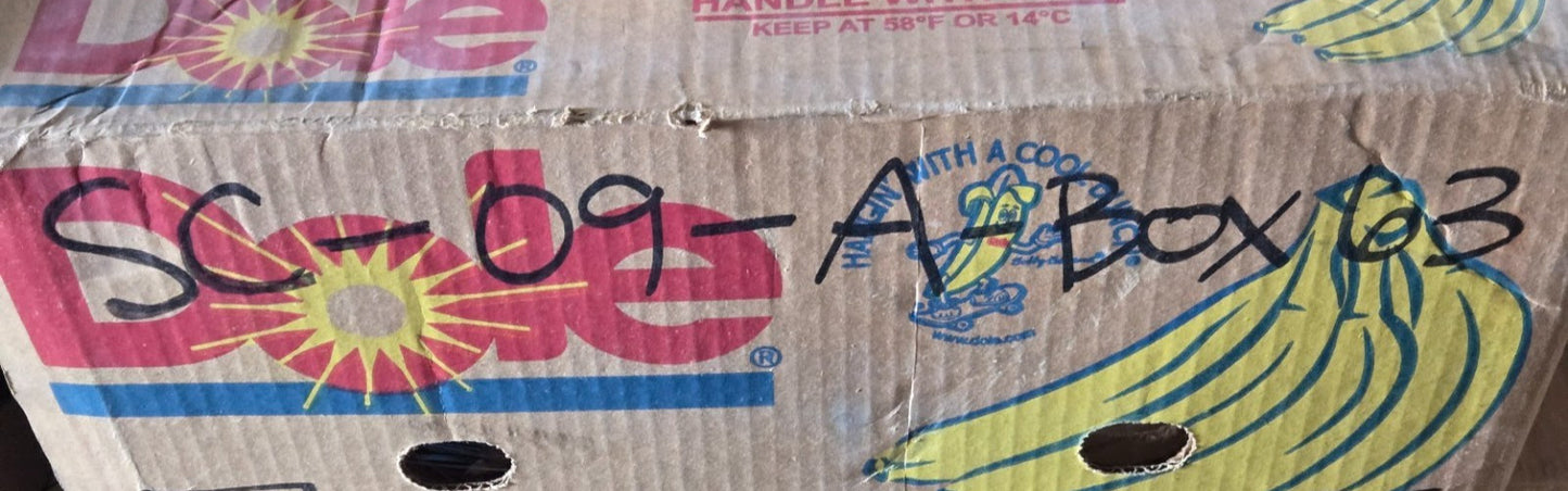 3 Quantity of SpringLift 8376IA Gas Springs 0370N 144/13 B 27 SL34-80-1 (3 Qty)