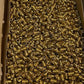 Dodge Black & Decker Threaded Solid Inserts 6035-2BR312 | 5,000 Qty | Size 8-32