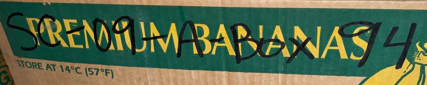 ENDURO CG307FFE Forklift Chain Sheave Guide Bearing 35x93x36mm