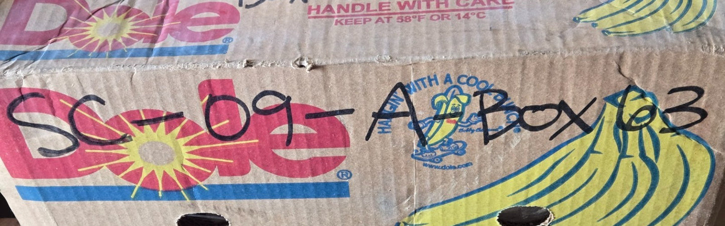 8 Quantity of Hydraulic Roller Lifters | 66mm Long | 21.35 mm Diameter (8 Qty)